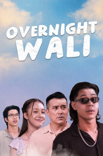 Overnight Wali movie poster
