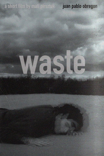 Waste movie poster