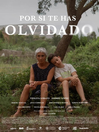Por si te has olvidado movie poster