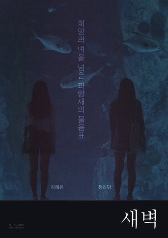 Dawn to Dawn movie poster