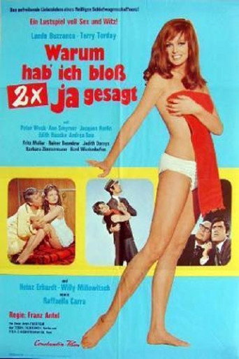 The Viking Who Became a Bigamist movie poster