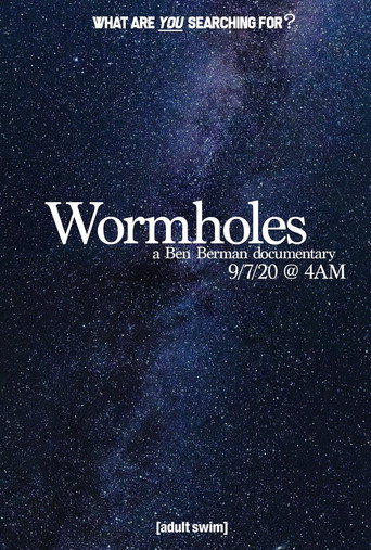 Wormholes movie poster