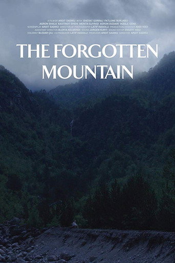 The Forgotten Mountain movie poster
