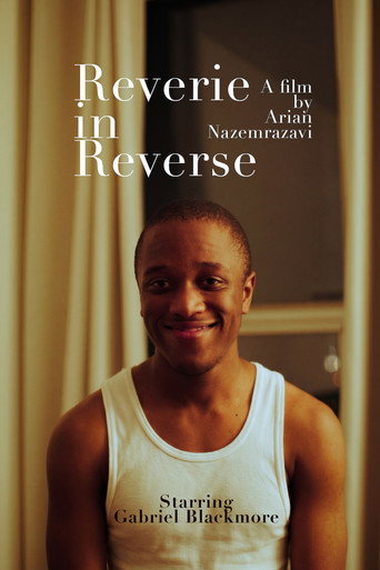 Reverie in Reverse movie poster