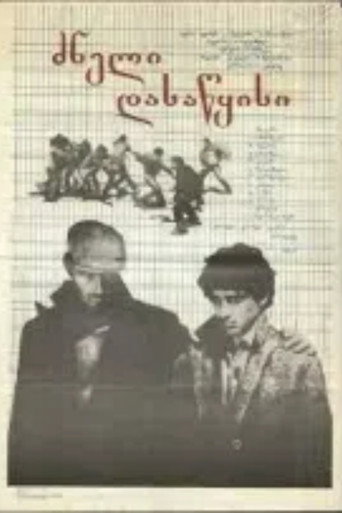 A Difficult Beginning movie poster