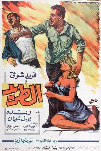 Fugitive movie poster