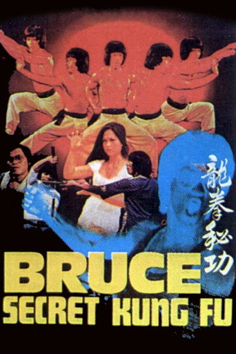 Bruce's Secret Kung Fu movie poster