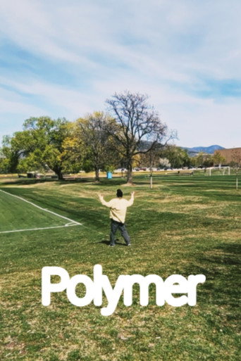 Polymer movie poster