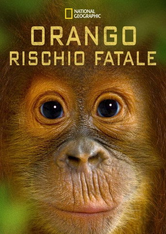 Orango rischio fatale movie poster