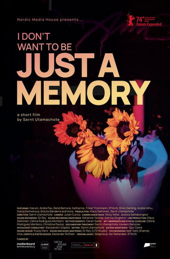 I Don’t Want to Be Just a Memory movie poster