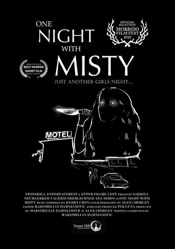 One Night with Misty movie poster