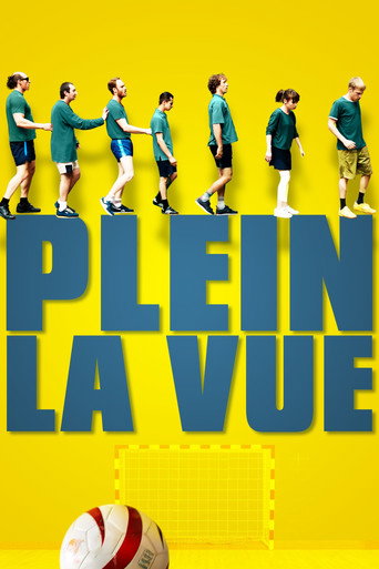 Plein la vue movie poster