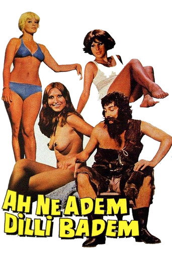 Ah Ne Adem Dilli Badem movie poster