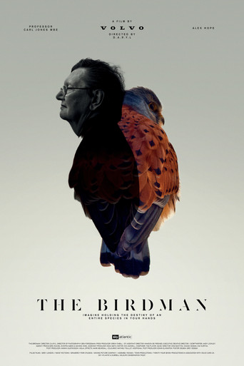 The Birdman movie poster