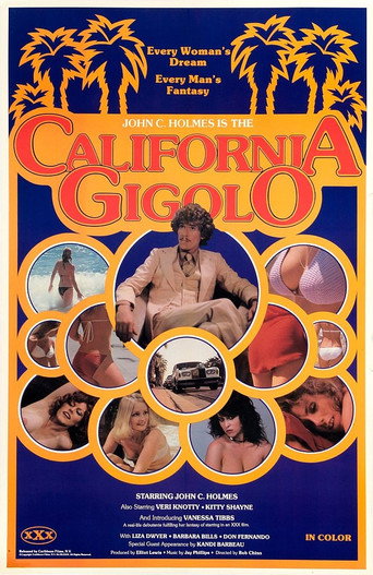 California Gigolo movie poster