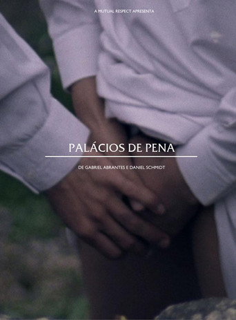 Palaces of Pity movie poster