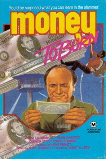 Money to Burn movie poster