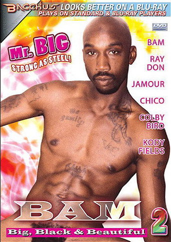Bam: Big, Black & Beautiful 2 movie poster