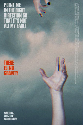 There Is No Gravity movie poster
