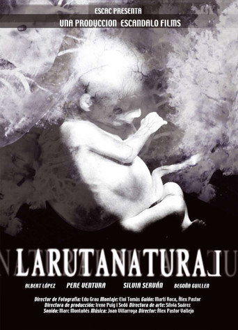 The Natural Route movie poster