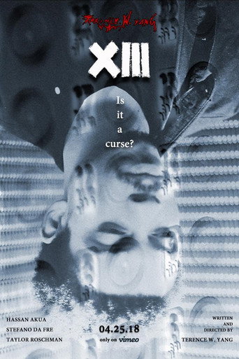 XIII movie poster