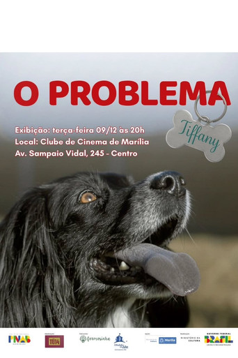 O Problema Tiffany movie poster