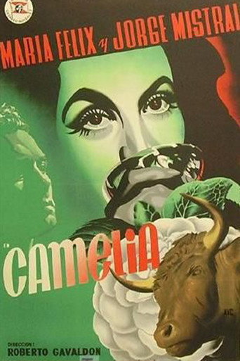 Camelia movie poster
