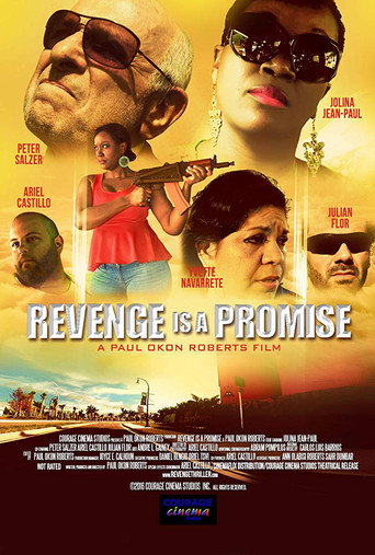 Revenge is a Promise movie poster