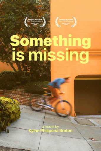 Something is missing movie poster