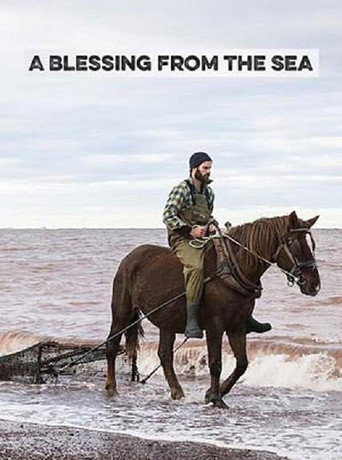A Blessing from the Sea movie poster