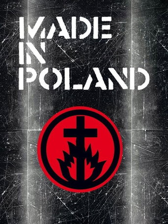 Made in Poland movie poster