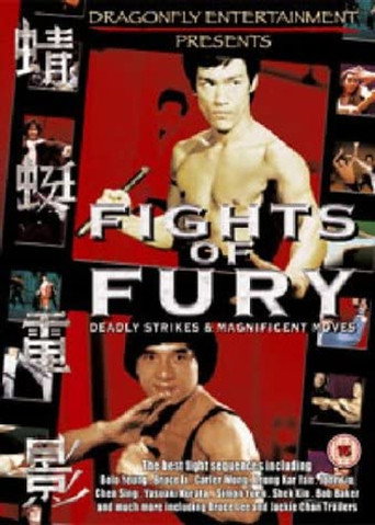 Fights of Fury movie poster