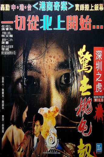 Born to Be Wild movie poster