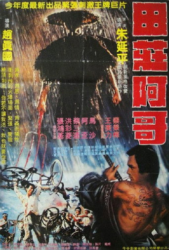 The Village Brother movie poster