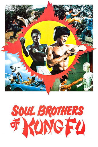 Soul Brothers of Kung Fu movie poster