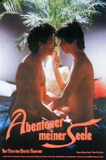 An Adventure of the Soul movie poster