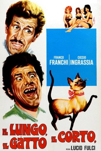The Tall, The Short, The Cat movie poster