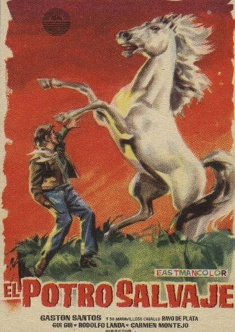 El potro salvaje movie poster
