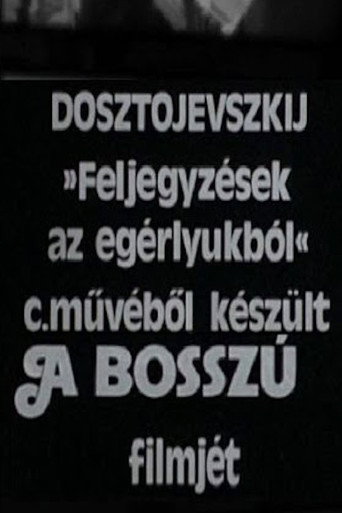 A bosszú movie poster