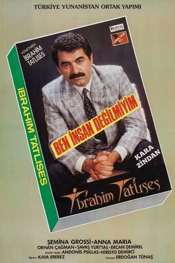 Ben İnsan Değil miyim? movie poster