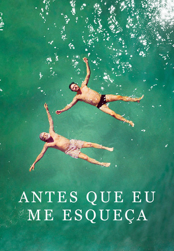 Antes Que Eu Me Esqueça movie poster