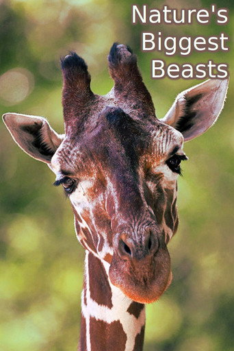 Nature's Biggest Beasts movie poster