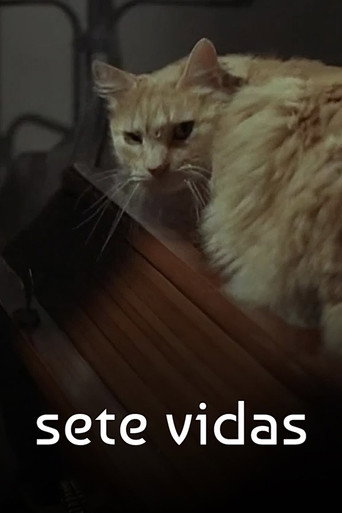 Sete Vidas movie poster