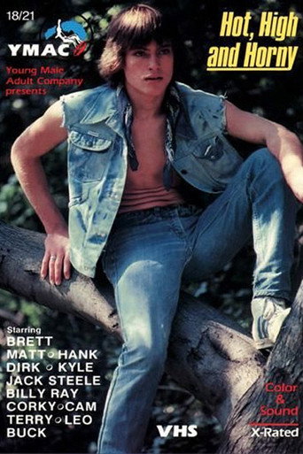 Hot, High And Horny movie poster