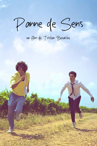 Panne De Sens movie poster