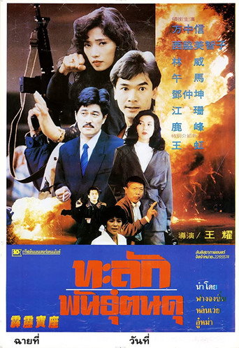 Raiders of Losing Treasure movie poster