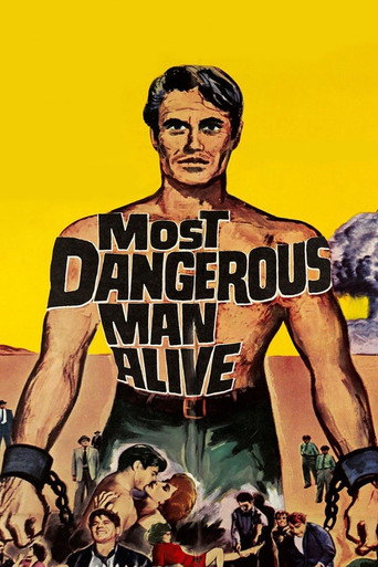 Most Dangerous Man Alive movie poster