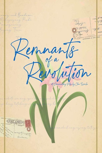 Remnants of a Revolution movie poster