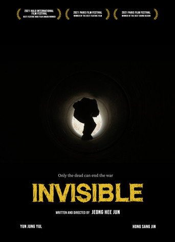 Invisible movie poster