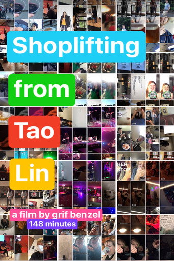 Shoplifting from Tao Lin movie poster